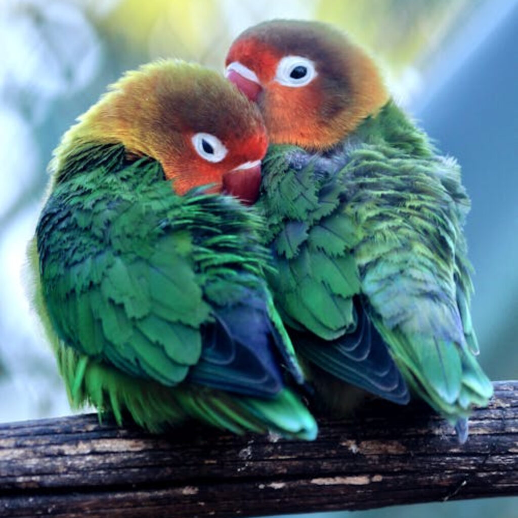 Số So Mien Bac – Khám Phá Thế Giới Công Nghệ Hiện Đại