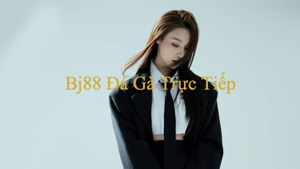 Sun 2 Win Trải Nghiệm Đặc Sắc Từ Những Sới Gà Hàng Đầu