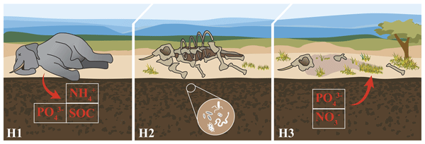Dự Đoán Xổ Số Miền Bắc Ngày 14 Khám Phá Thế Giới Cá Cược Trực Tuyến An Toàn & Uy Tín